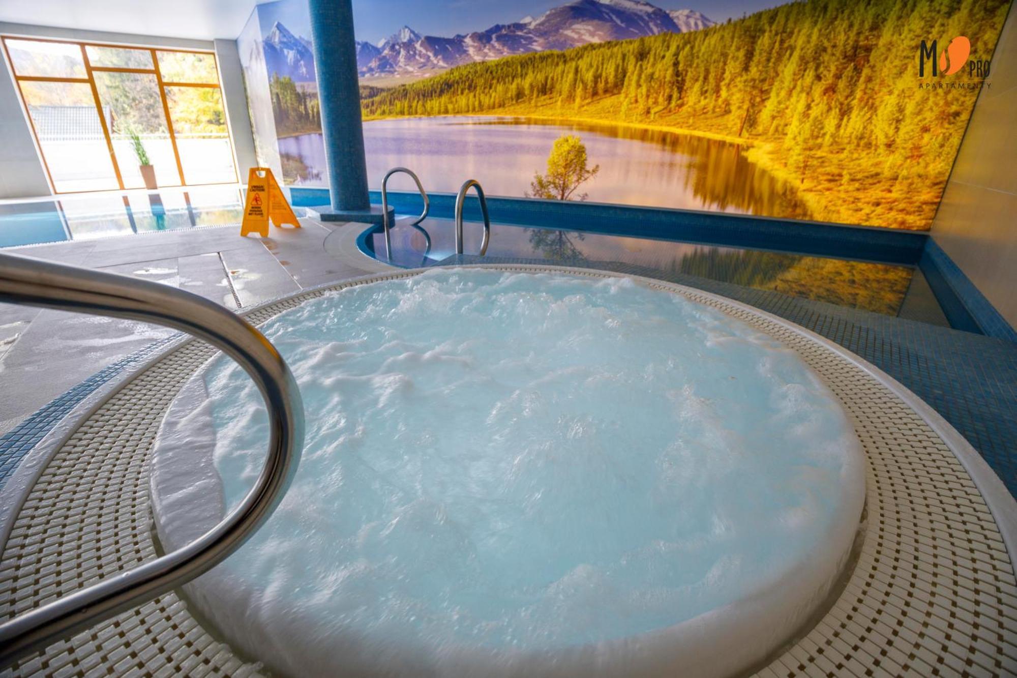 Apartamenty Premium Stone Hill - Baseny&Jacuzzi Szklarska Poreba Dış mekan fotoğraf